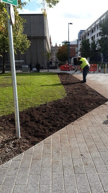 Queens Canopy Preparation